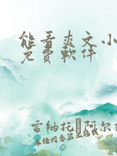 能看爽文小说的免费软件