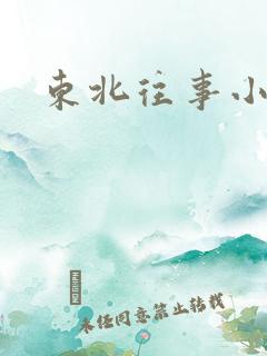 东北往事小说4