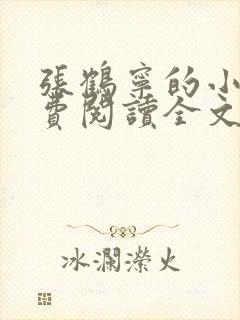 张鹤宁的小说免费阅读全文
