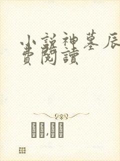 小说神墓辰东免费阅读