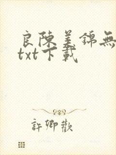 良陈美锦无删减txt下载