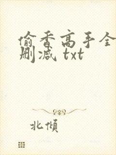偷香高手全文无删减 txt