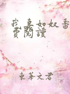 我妻如奴番外免费阅读