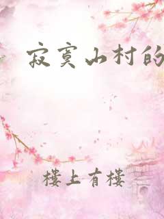 寂寞山村的小说