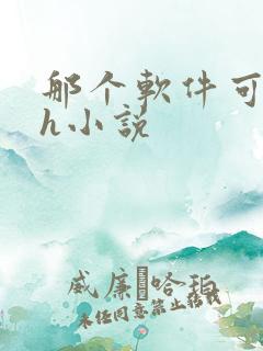那个软件可以看h小说