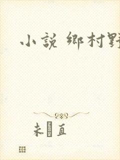 小说 乡村野事
