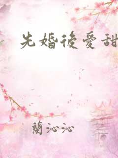 先婚后爱甜宠文