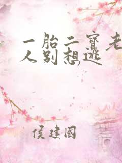 一胎二宝老婆大人别想逃