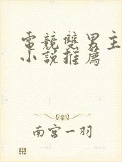 电竞双男主冷门小说推荐