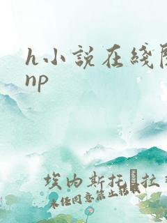 h小说在线阅读np