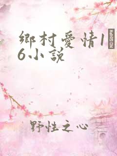 乡村爱情1――6小说