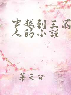 穿越到三国收夫人的小说