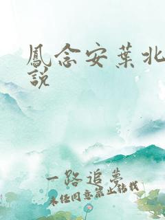 凤念安叶北宸小说