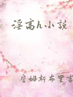 淫高h小说