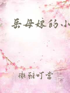 岳母娘的小说
