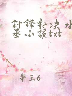 针锋对决 水千丞小说txt