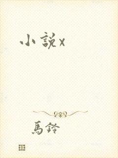 小说x