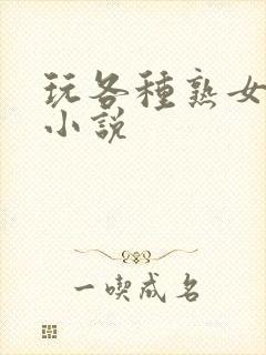 玩各种熟女少妇小说