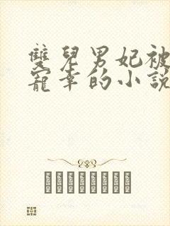双儿男妃被皇上宠幸的小说