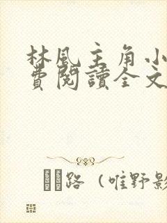 林风主角小说免费阅读全文无弹窗