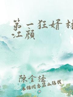 第一狂婿 林羽江颜