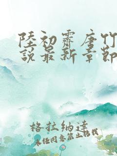 陆初霁唐竹心小说最新章节免费阅读
