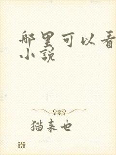 哪里可以看伦理小说