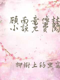 顾南意傅林深的小说免费阅读
