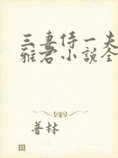 三妻侍一夫柔佳雅君小说全文阅读