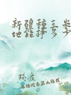 新疆种玉米一亩地能挣多少