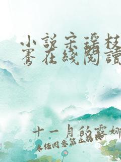 小说宋瑶枝萧子骞在线阅读