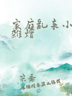 家庭乱来小说大杂烩