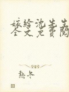 嫁给沈先生小说全文免费阅读