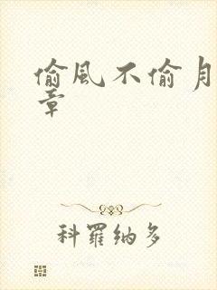 偷风不偷月项明章
