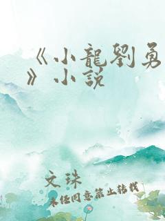《小龙刘勇赵兰》小说