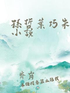 孙哲叶巧朱颜的小说