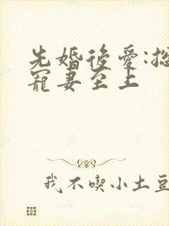 先婚后爱:总裁宠妻至上