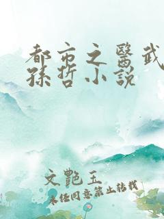 都市之医武风流孙哲小说