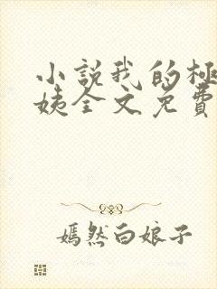 小说我的极品小姨全文免费阅读
