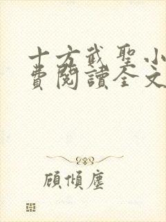 十方武圣小说免费阅读全文
