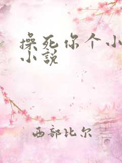操死你个小骚货小说