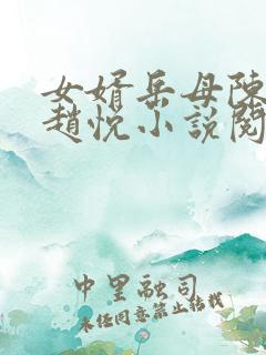 女婿岳母陈超,赵悦小说阅读全文