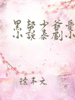 黑帮少爷爱上我小说泰剧小说