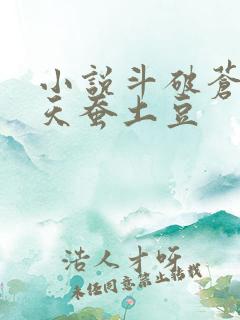小说斗破苍穹2天蚕土豆