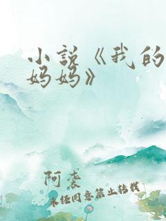 小说《我的风流妈妈》