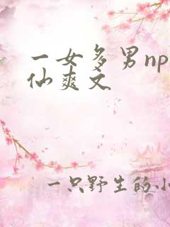 一女多男np修仙爽文