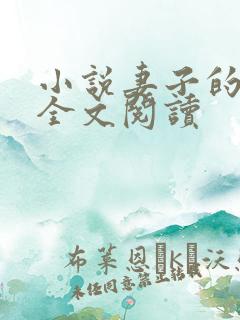 小说妻子的自述全文阅读