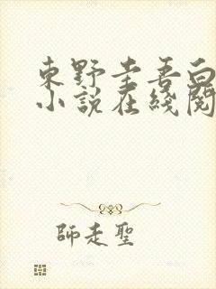 东野圭吾白夜行小说在线阅读