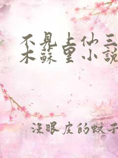 不见上仙三百年木苏里小说完整版