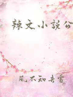 辣文小说公媳
